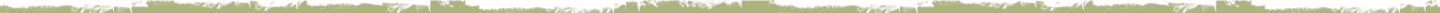 footer